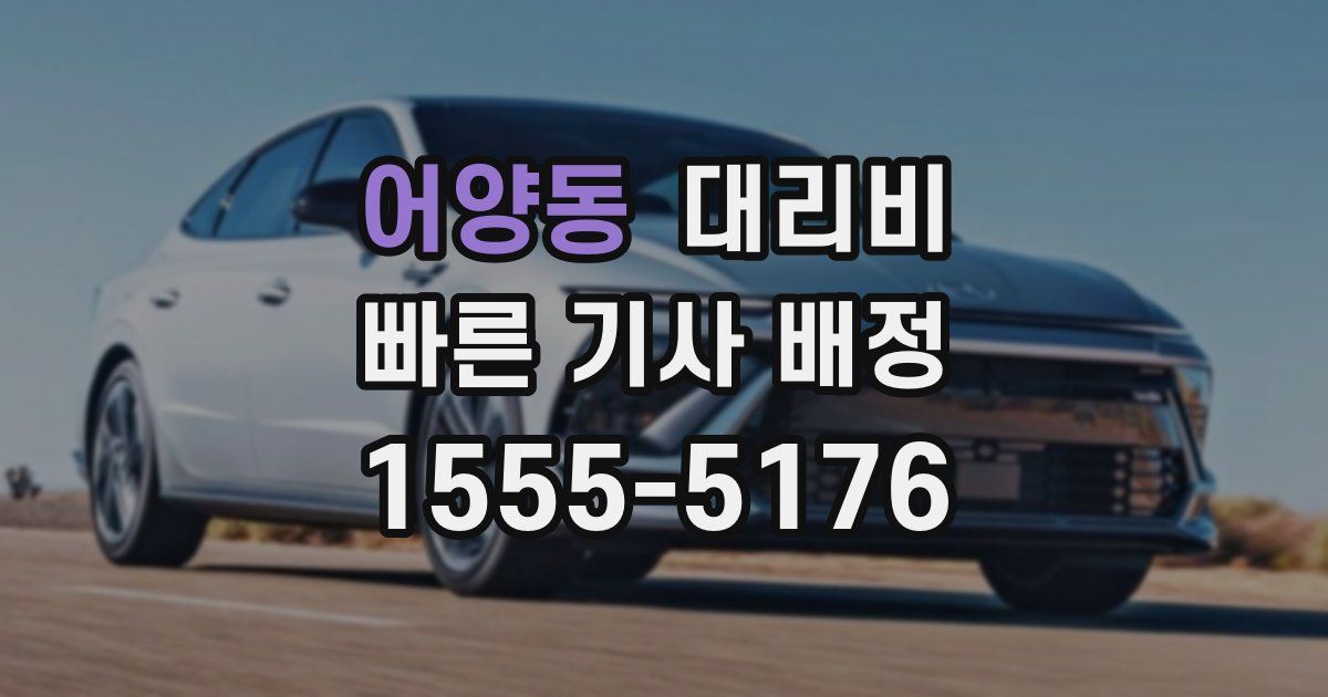 어양동 대리운전 가격