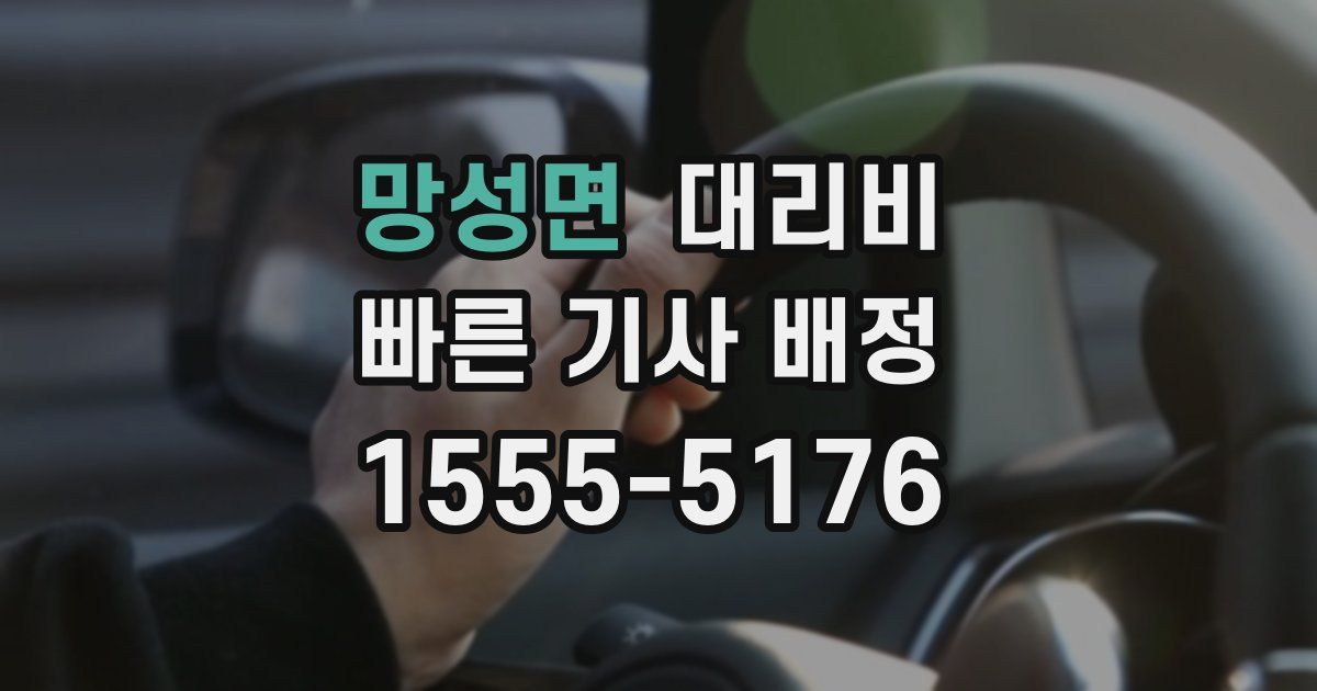 망성면 대리운전 가격