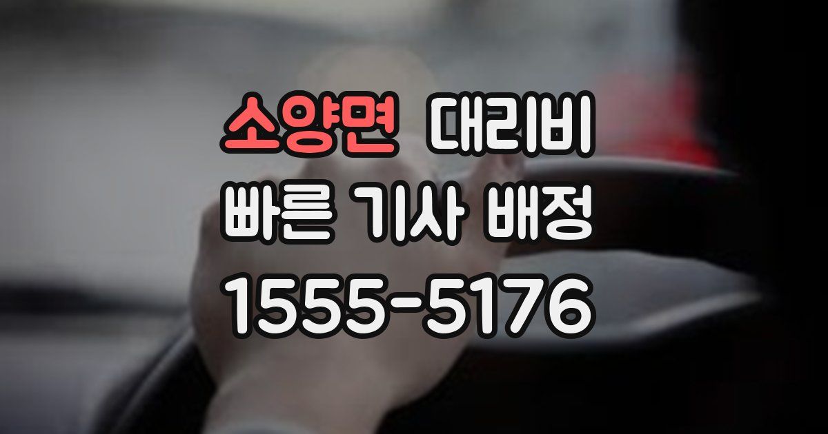 소양면 대리운전 가격