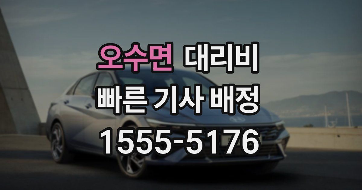 오수면 대리운전 가격