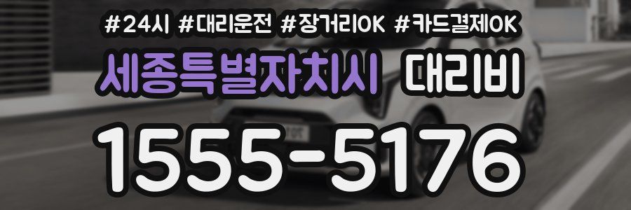 세종특별자치시 대리비