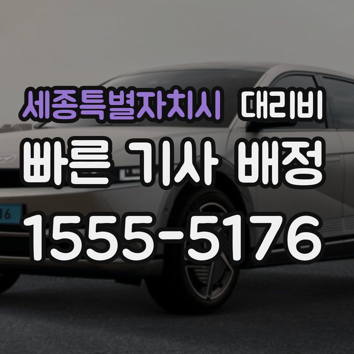 세종특별자치시 대리운전