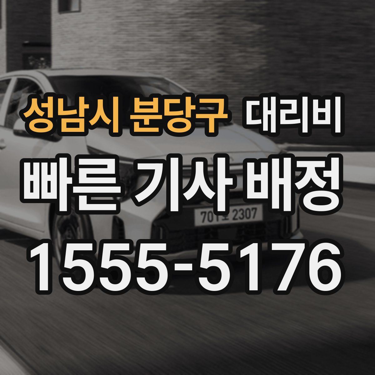 성남시 분당구 대리운전