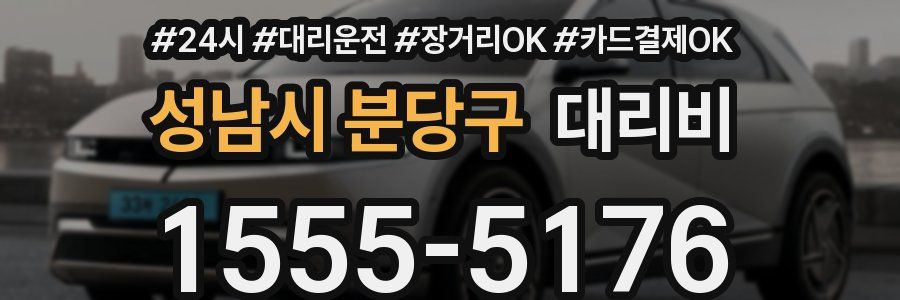 성남시 분당구 대리비