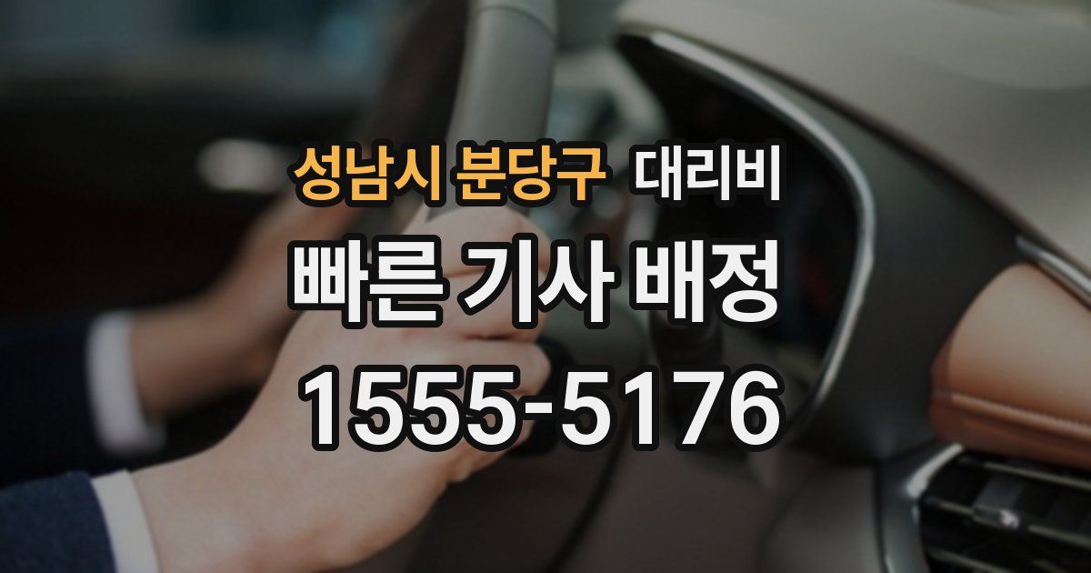 성남시 분당구 대리운전 가격
