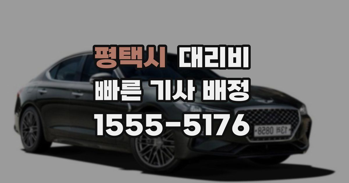 평택시 대리운전 가격