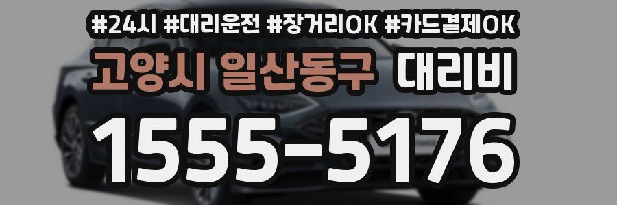 고양시 일산동구 대리비