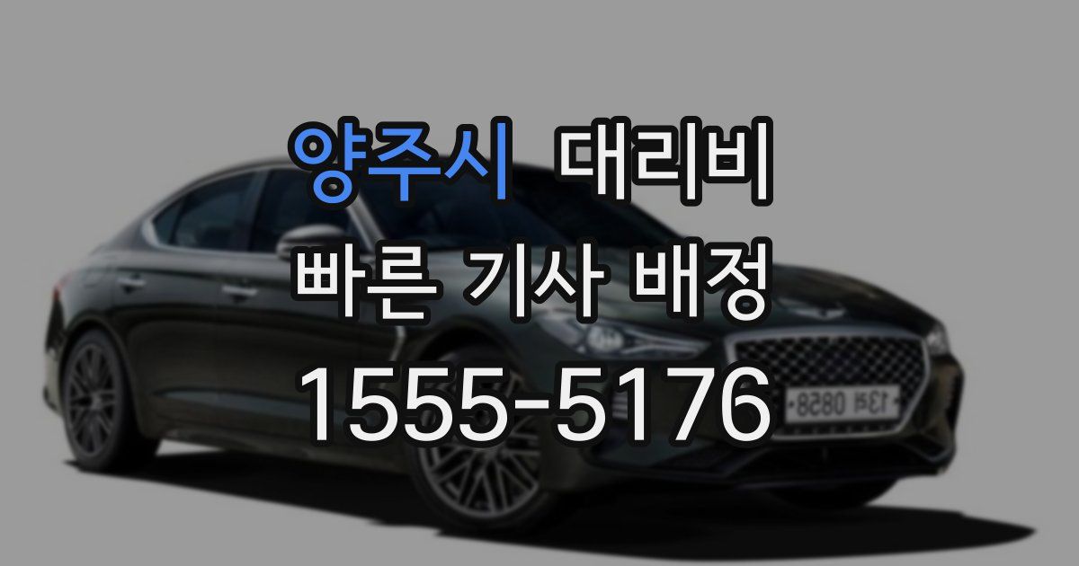 양주시 대리운전 가격