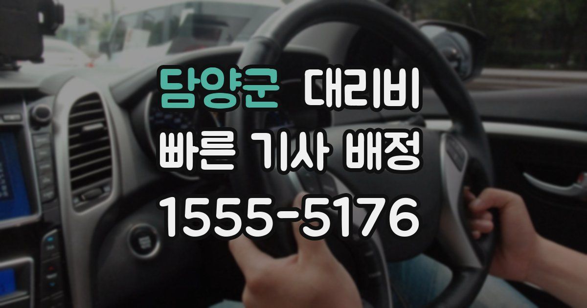 담양군 대리운전 가격