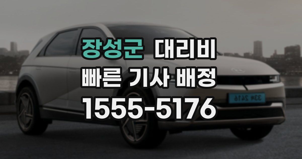 장성군 대리운전 가격