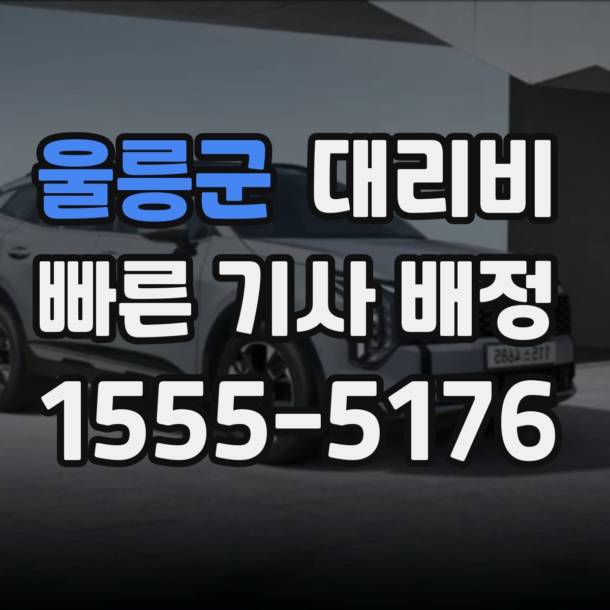 울릉군 대리운전