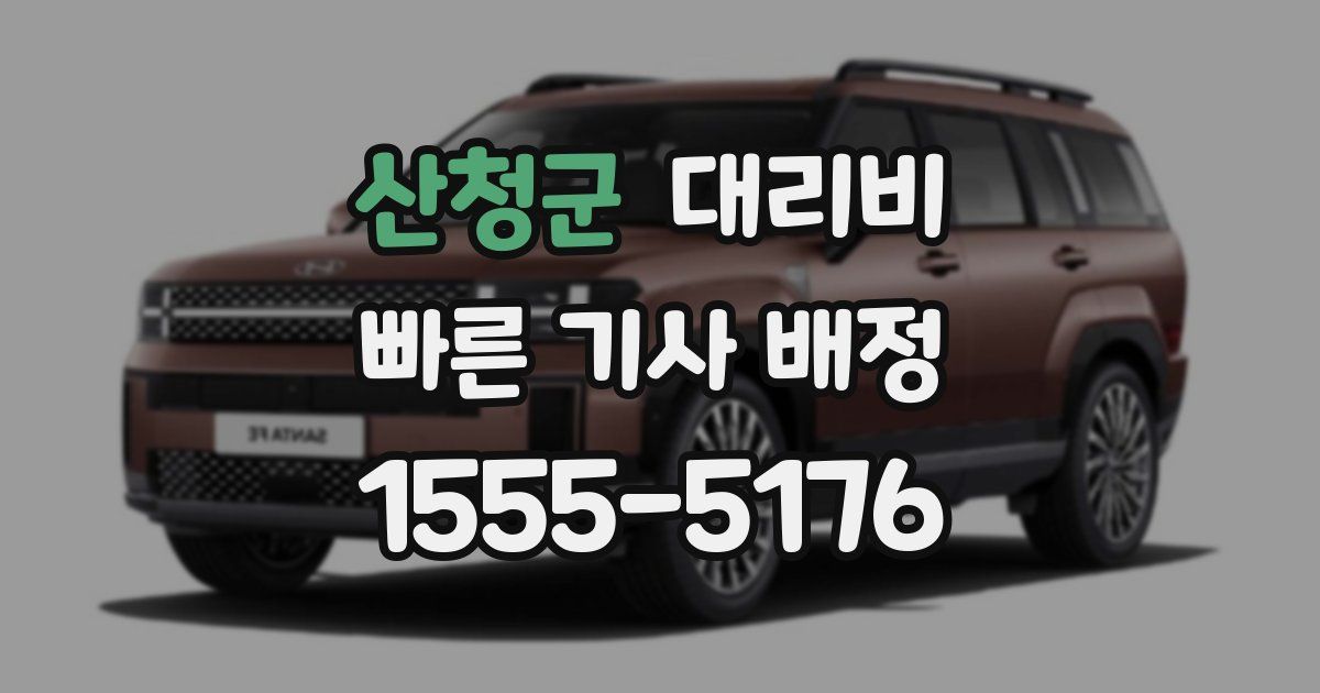 산청군 대리운전 가격