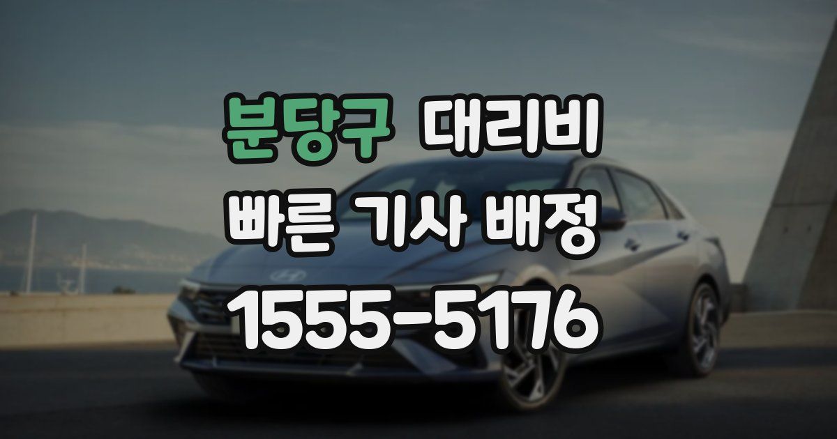 분당구 대리운전 가격