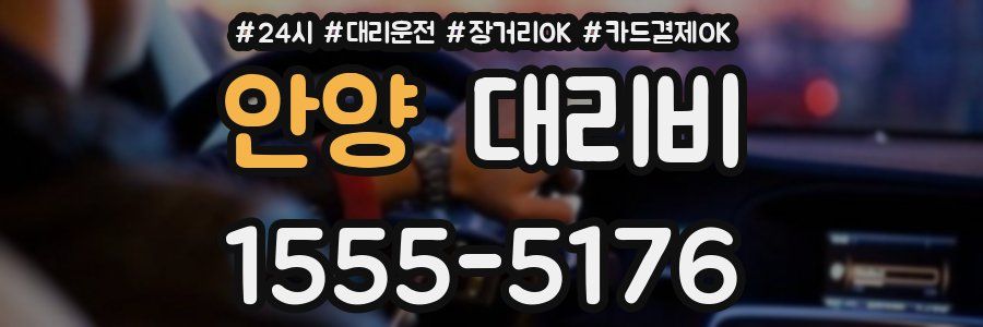 안양 대리비