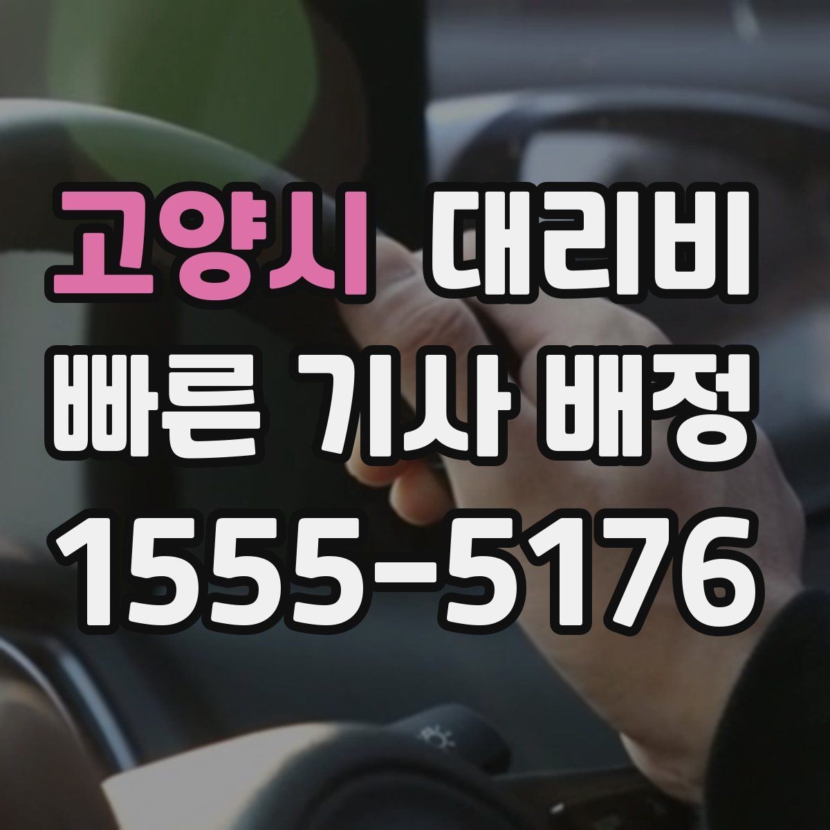 고양시 대리비 친구들과 자리 후 분산 귀가 정리