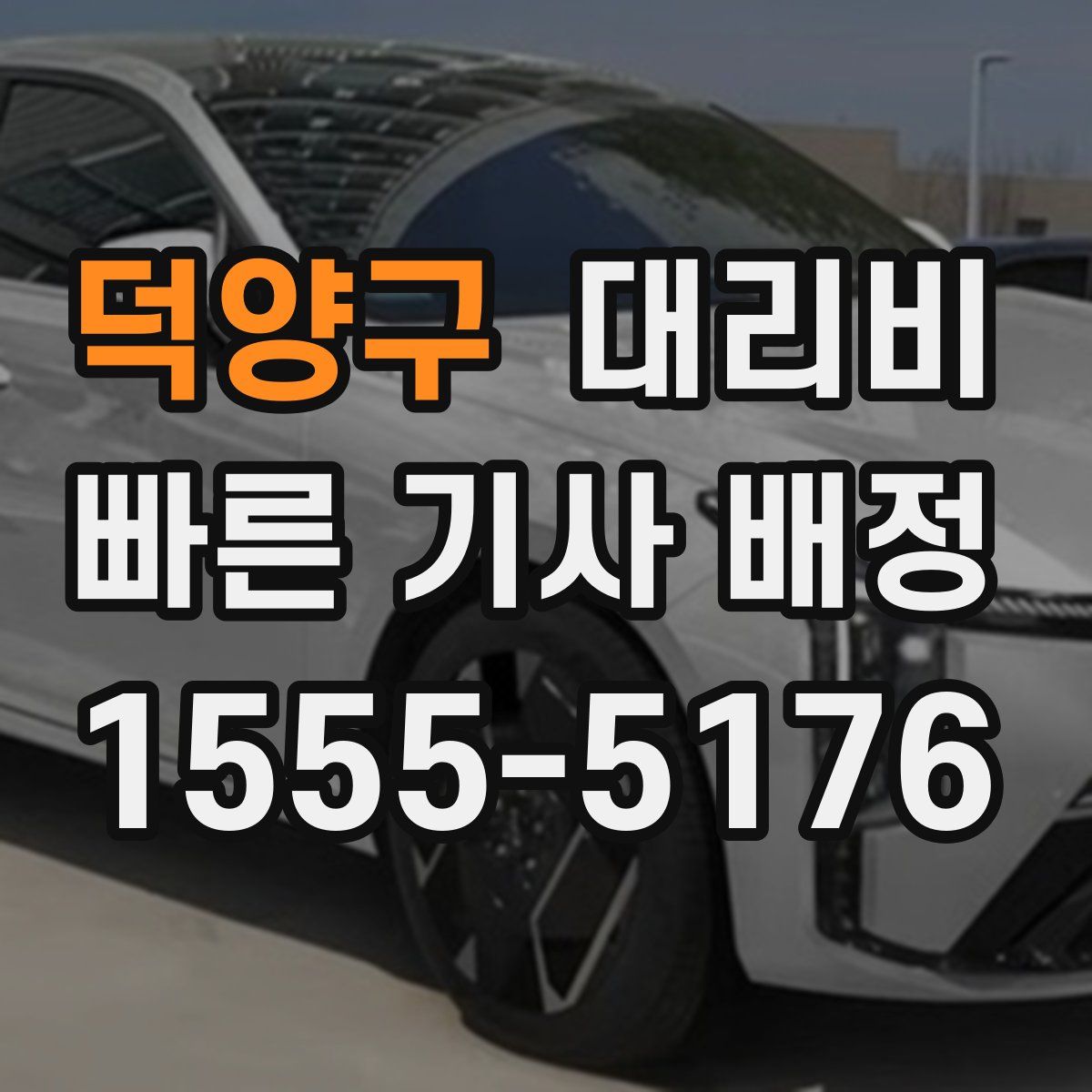 덕양구 대리운전