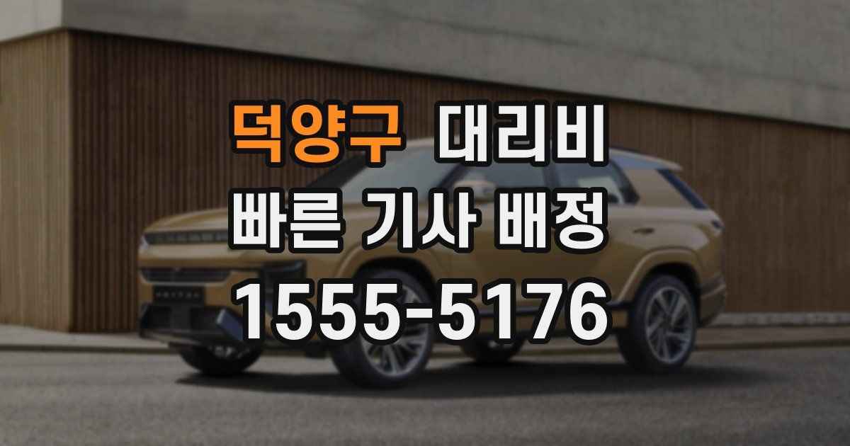 덕양구 대리운전 가격