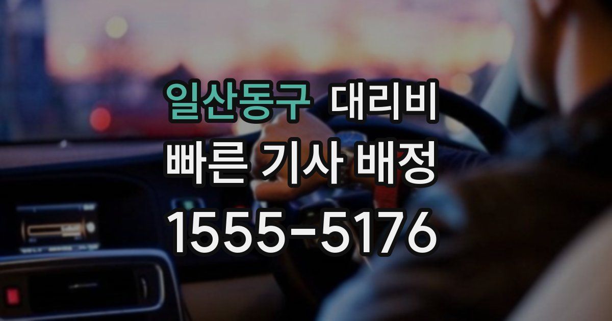 일산동구 대리운전 가격