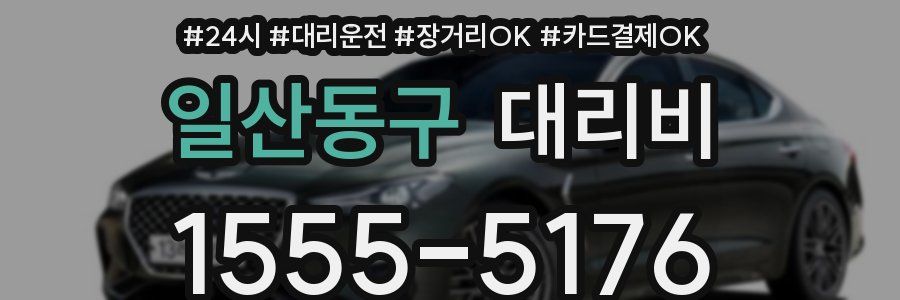 일산동구 대리비