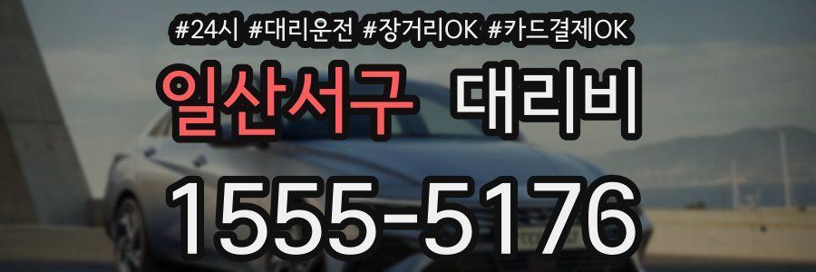 일산서구 대리비