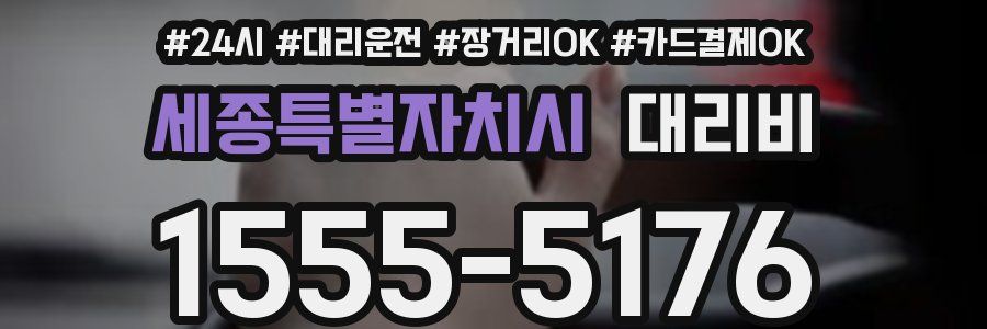 세종특별자치시 대리비