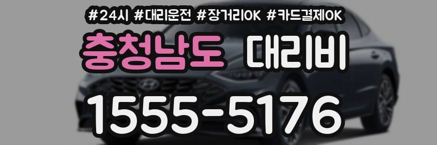 충청남도 대리비