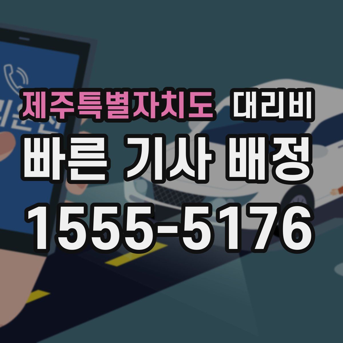 제주특별자치도 대리운전