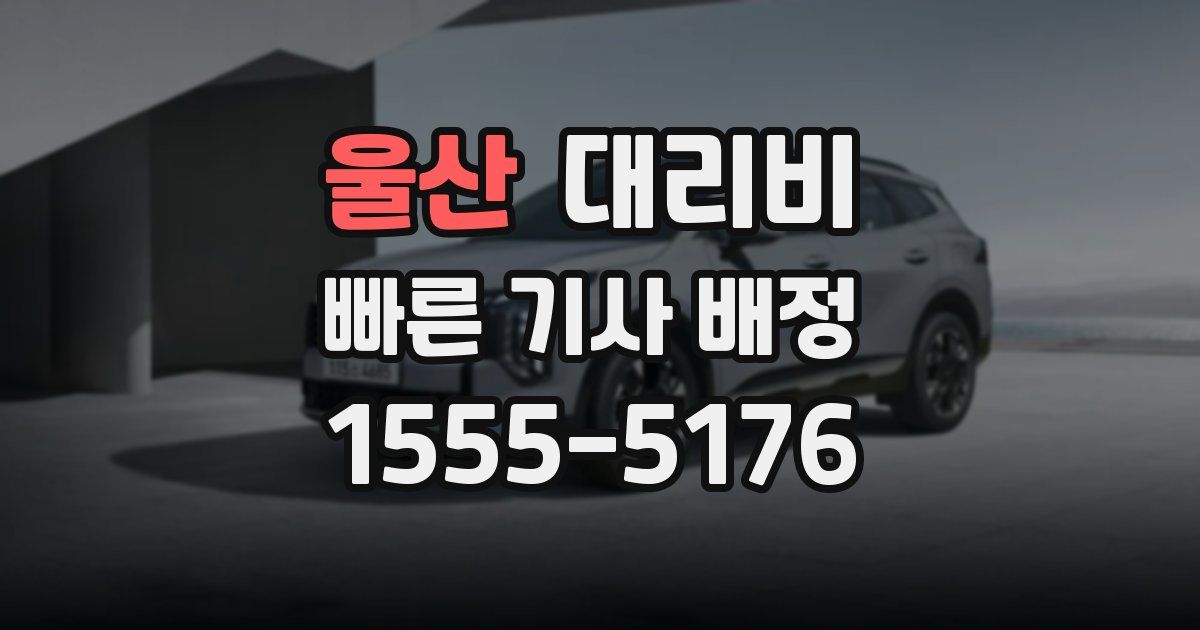 울산 대리운전 가격