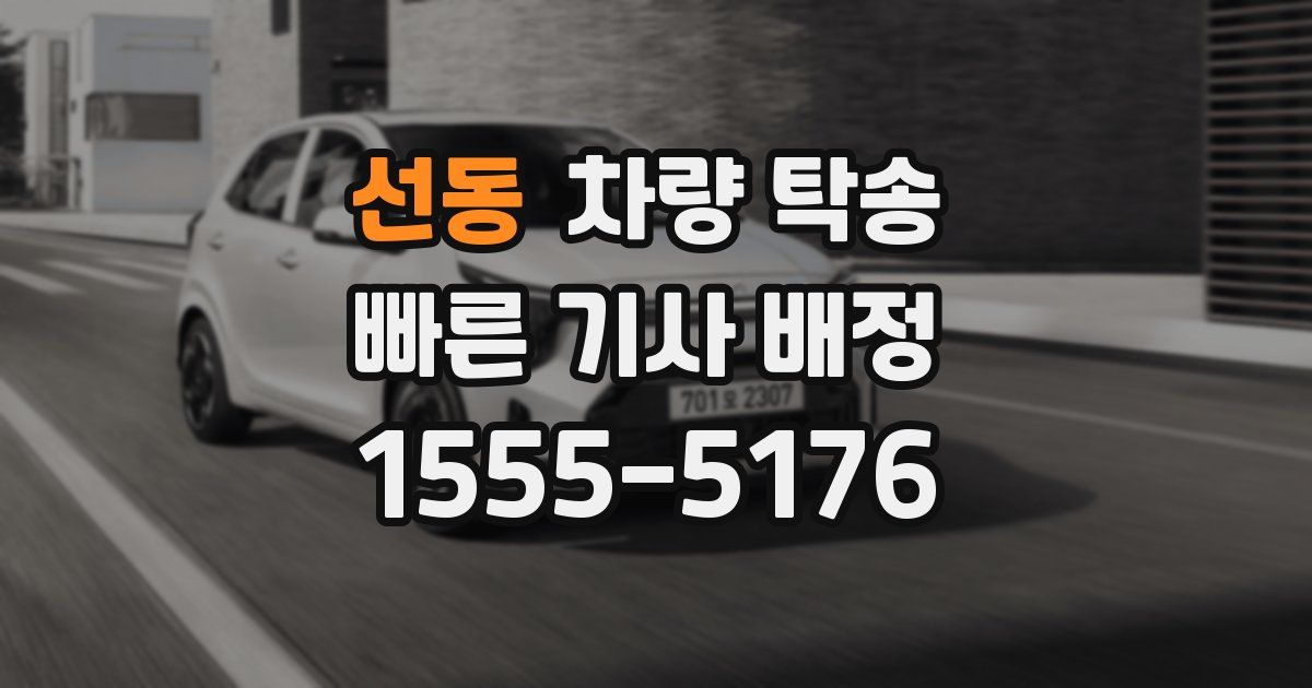 선동 차량 탁송