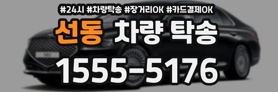 선동 차량 탁송