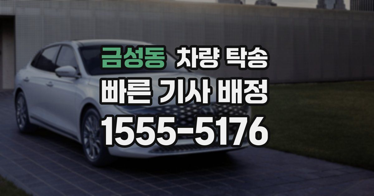 금성동 차량 탁송