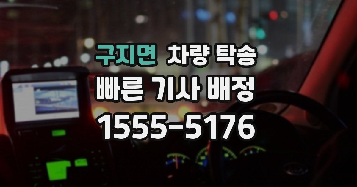 구지면 차량 탁송