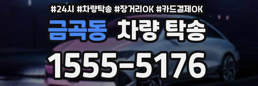 금곡동 차량 탁송