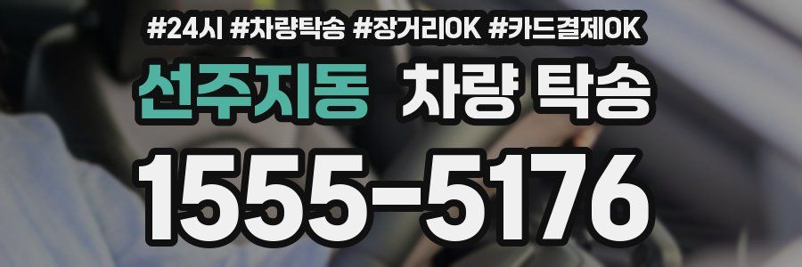 선주지동 차량 탁송