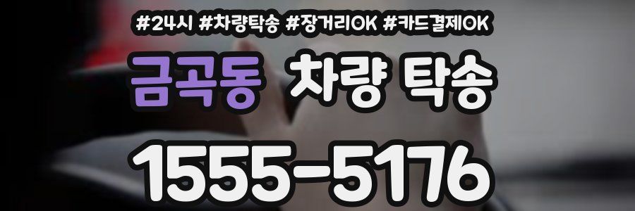 금곡동 차량 탁송