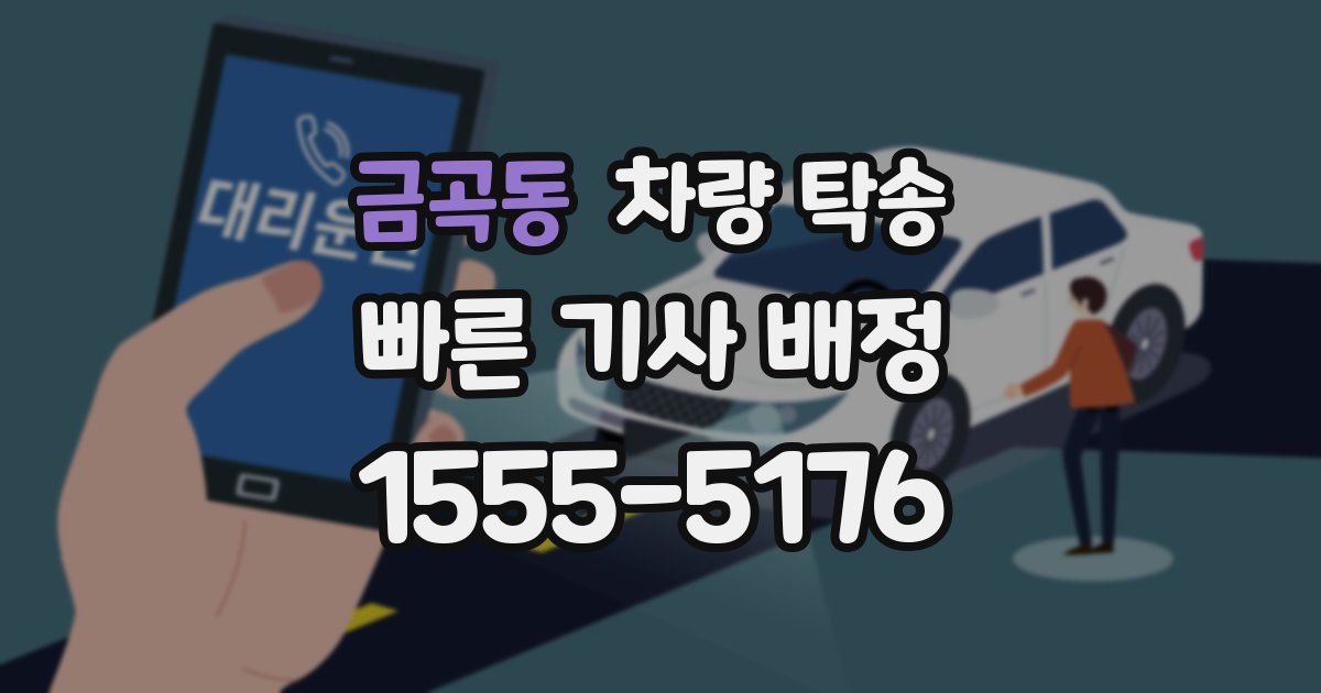 금곡동 차량 탁송