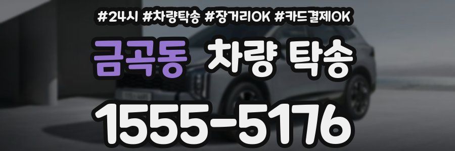 금곡동 차량 탁송