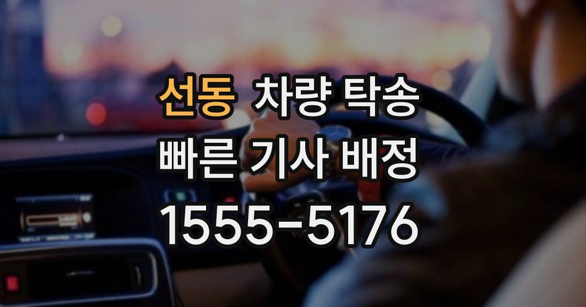 선동 차량 탁송