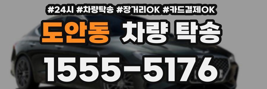 도안동 차량 탁송