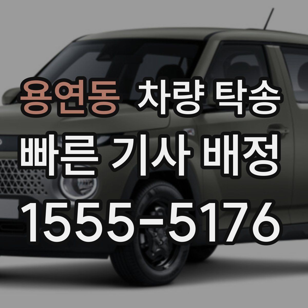 용연동 차량 탁송 반려동물 용품이 있을 때 준비 사항