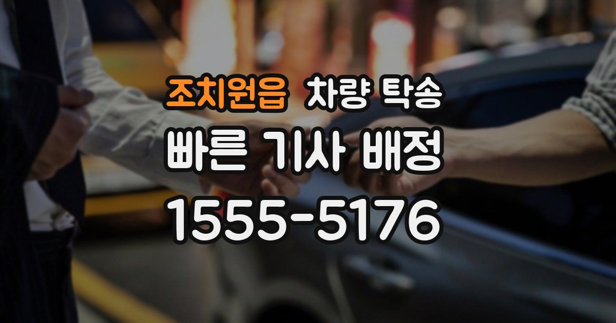 조치원읍 차량 탁송