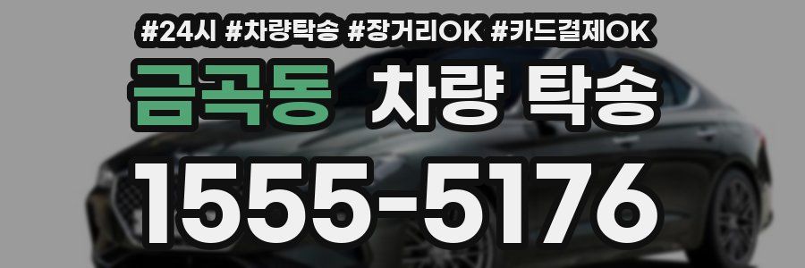 금곡동 차량 탁송