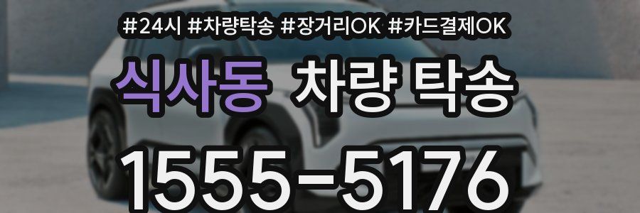 식사동 차량 탁송