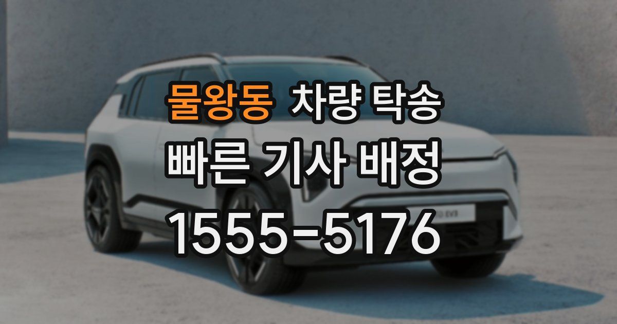 물왕동 차량 탁송