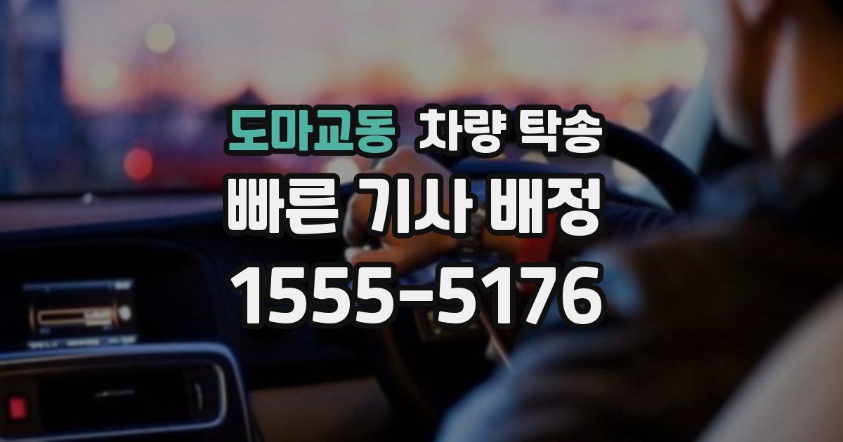 도마교동 차량 탁송