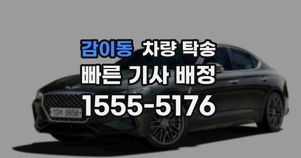 감이동 차량 탁송