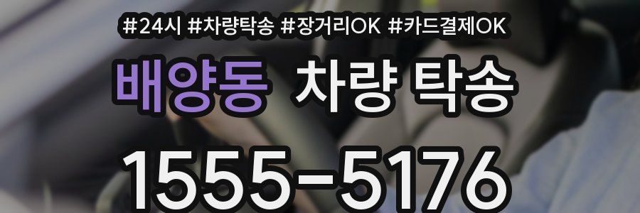 배양동 차량 탁송