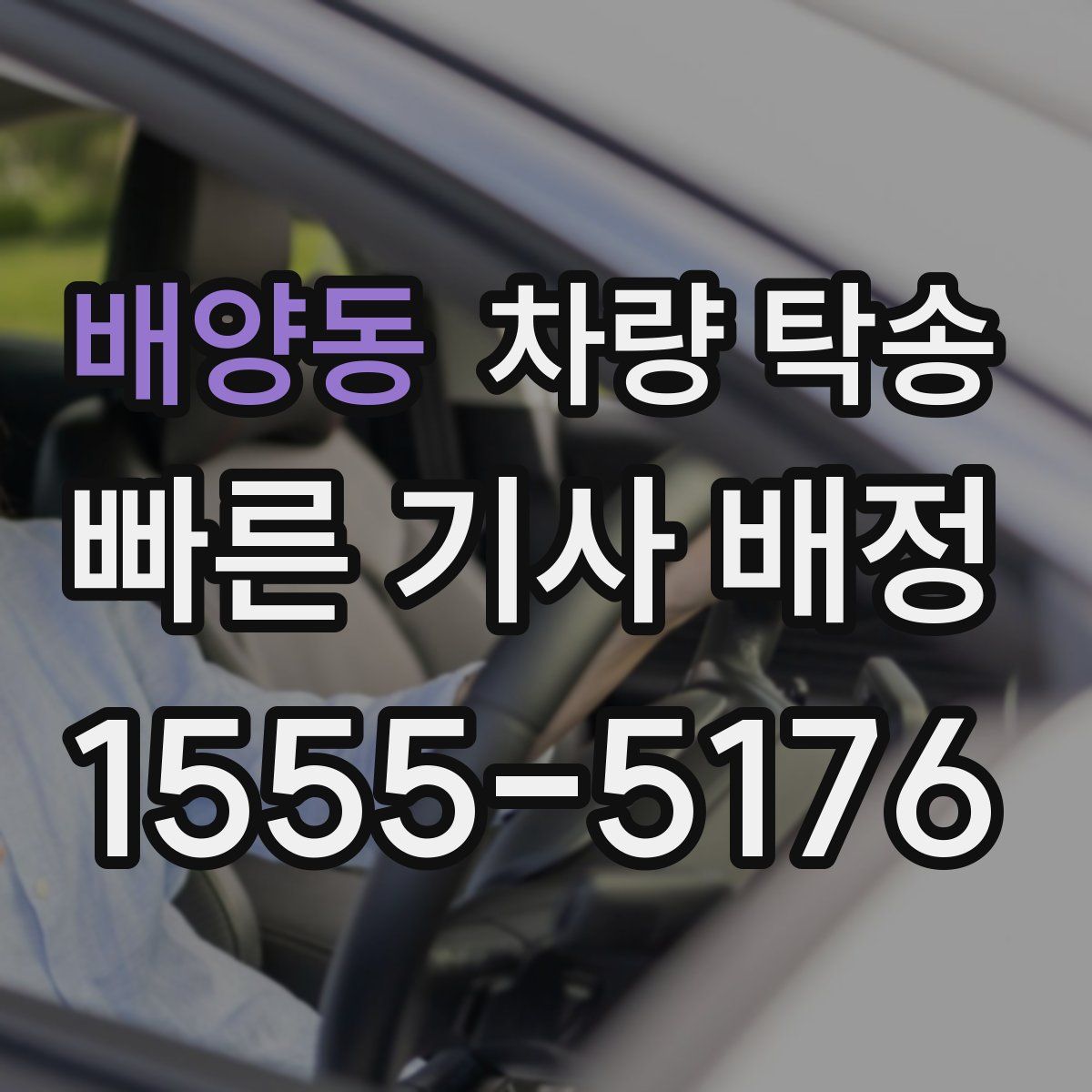 배양동 차량 탁송