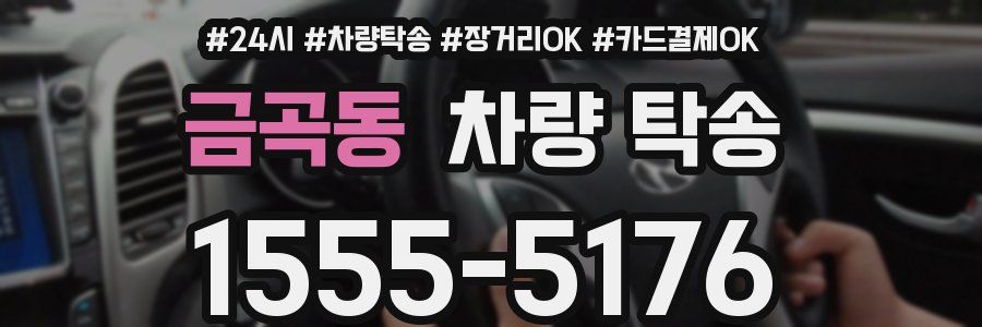 금곡동 차량 탁송