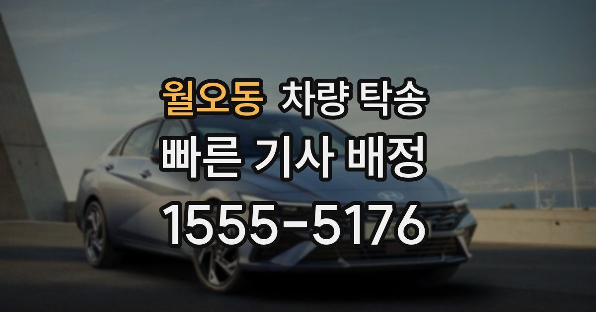 월오동 차량 탁송